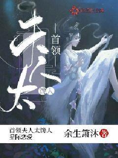 蝙蝠侠：阿甘骑士
